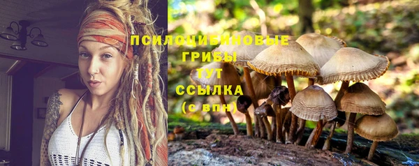 гидра Алзамай