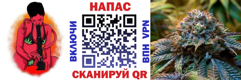 МЕГА ссылки  Ленинск  Каннабис гибрид  купить закладку 